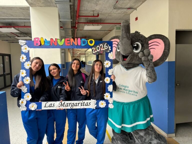 3f84f538-5dac-417b-b463-b79911194bb2